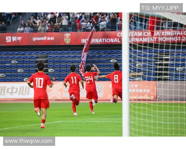 中国足球球迷冲突背后的原因与影响探讨及未来展望